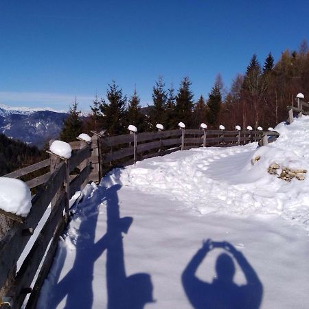 Baita Del Nonno Dei Pitoi Villa Bedollo Bagian luar foto