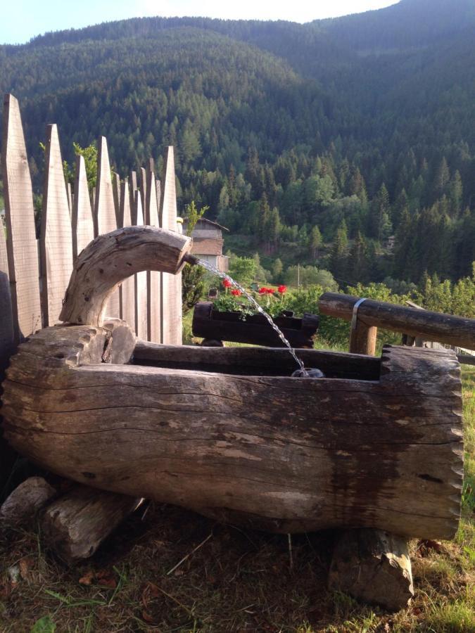 Baita Del Nonno Dei Pitoi Villa Bedollo Bagian luar foto