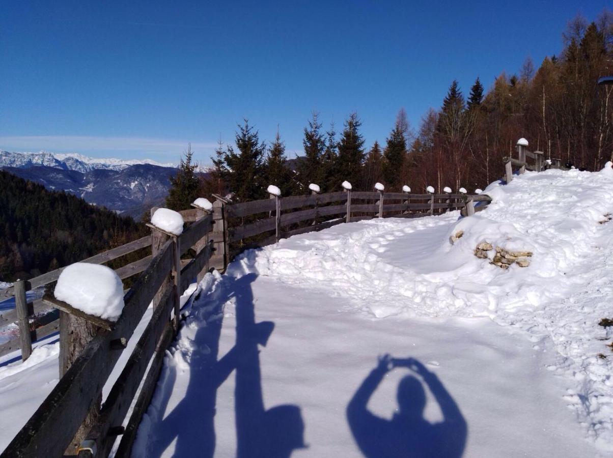 Baita Del Nonno Dei Pitoi Villa Bedollo Bagian luar foto