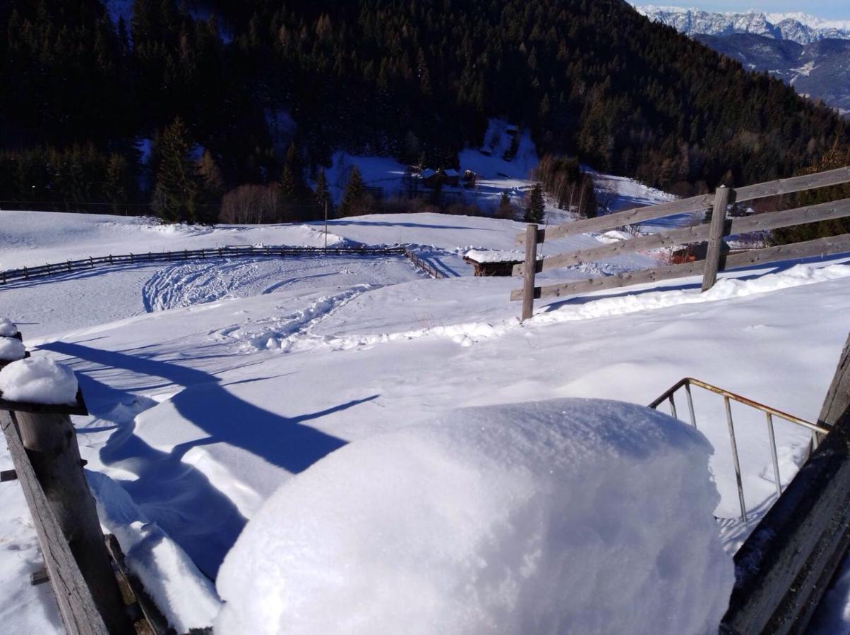 Baita Del Nonno Dei Pitoi Villa Bedollo Bagian luar foto