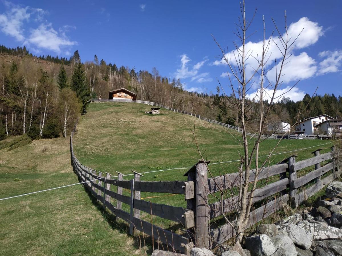 Baita Del Nonno Dei Pitoi Villa Bedollo Bagian luar foto