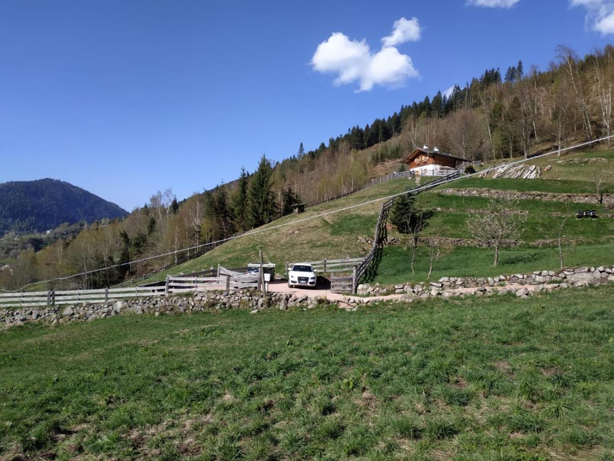 Baita Del Nonno Dei Pitoi Villa Bedollo Bagian luar foto