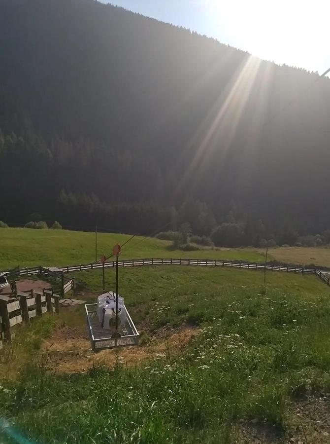 Baita Del Nonno Dei Pitoi Villa Bedollo Bagian luar foto